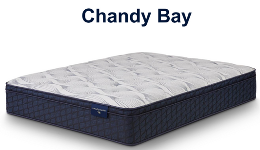 Chandy Bay Plush Euro Top 11.5" Profile