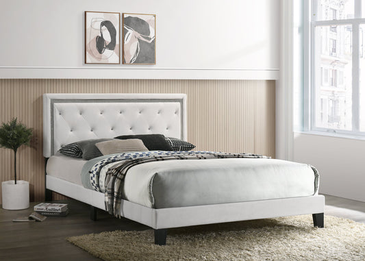 Passion White Velvet Platform Bed - Twin, Full, Queen, King